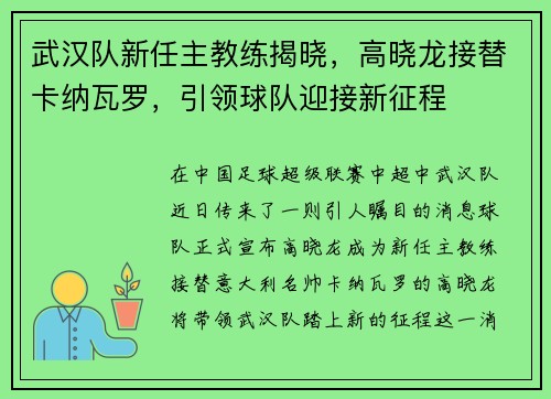 武汉队新任主教练揭晓，高晓龙接替卡纳瓦罗，引领球队迎接新征程